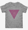 Pink Triangle Toddler Tshirt B0fbd717-6dd2-4824-9b7b-19e4b054ec82 666x695.jpg?v=1700586454