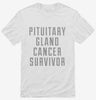 Pituitary Gland Cancer Survivor Shirt 666x695.jpg?v=1700487634