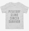 Pituitary Gland Cancer Survivor Toddler Shirt 666x695.jpg?v=1700487634