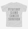 Pituitary Gland Cancer Survivor Youth