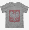 Polish Eagle Toddler Tshirt C829e52f-ef0c-47d4-ae3a-1dd11b728d88 666x695.jpg?v=1700596101