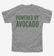 Powered By Avocado grey Youth Tee