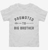 Promoted To Big Brother New Baby Announcement Toddler Shirt 666x695.jpg?v=1700365856