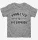 Promoted to Big Brother New Baby Announcement  Toddler Tee