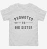Promoted To Big Sister New Baby Announcement Toddler Shirt 666x695.jpg?v=1700365907