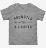 Promoted To Big Sister New Baby Announcement Toddler