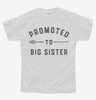 Promoted To Big Sister New Baby Announcement Youth