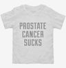 Prostate Cancer Sucks Toddler Shirt 666x695.jpg?v=1700508812