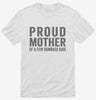 Proud Mother Of A Few Dumbass Kids Shirt 666x695.jpg?v=1700410132