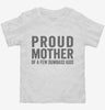 Proud Mother Of A Few Dumbass Kids Toddler Shirt 666x695.jpg?v=1700410132