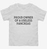 Proud Owner Of A Useless Pancreas Diabetes Toddler Shirt 666x695.jpg?v=1700451429