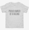 Proud Owner Of A Vagina Toddler Shirt 666x695.jpg?v=1700537292