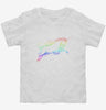 Rainbow Colored Unicorn Toddler Shirt 666x695.jpg?v=1700537196
