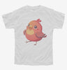 Red Bird Graphic Youth