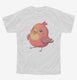 Red Bird Graphic  Youth Tee
