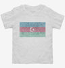 Retro Vintage Azerbaijan Flag Toddler Shirt 666x695.jpg?v=1700535808