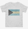 Retro Vintage Bahamas Flag Toddler Shirt 666x695.jpg?v=1700535767