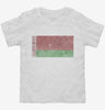 Retro Vintage Belarus Flag Toddler Shirt 666x695.jpg?v=1700535572
