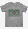 Retro Vintage Brazil Flag Toddler