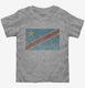 Retro Vintage Democratic Republic Of The Congo Flag grey Toddler Tee