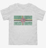 Retro Vintage Dominica Flag Toddler Shirt 666x695.jpg?v=1700533983