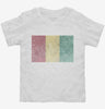 Retro Vintage Guinea Flag Toddler Shirt 666x695.jpg?v=1700532938