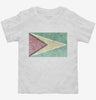 Retro Vintage Guyana Flag Toddler Shirt 666x695.jpg?v=1700532841