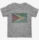 Retro Vintage Guyana Flag grey Toddler Tee