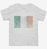 Retro Vintage Ireland Flag Toddler Shirt 666x695.jpg?v=1700532330