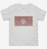 Retro Vintage Montenegro Flag Toddler Shirt 666x695.jpg?v=1700530742