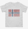 Retro Vintage Norway Flag Toddler Shirt 666x695.jpg?v=1700530108