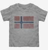 Retro Vintage Norway Flag Toddler