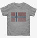 Retro Vintage Norway Flag  Toddler Tee