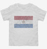Retro Vintage Paraguay Flag Toddler Shirt 666x695.jpg?v=1700529816