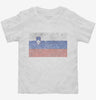 Retro Vintage Slovenia Flag Toddler Shirt 666x695.jpg?v=1700528663