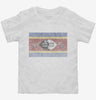 Retro Vintage Swaziland Flag Toddler Shirt 666x695.jpg?v=1700528161