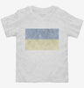 Retro Vintage Ukraine Flag Toddler Shirt 666x695.jpg?v=1700527287