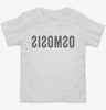 Reverse Osmosis Toddler Shirt 666x695.jpg?v=1700401216