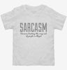 Sarcasm Funny Joke Toddler Shirt 666x695.jpg?v=1700526363