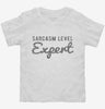 Sarcasm Level Expert Toddler Shirt 666x695.jpg?v=1700526268