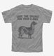 Save The Drama For Your Llama grey Youth Tee
