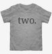 Second Birthday Two grey Toddler Tee