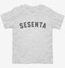 Sesenta 60th Birthday Toddler Shirt 666x695.jpg?v=1700323353