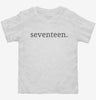 Seventeenth Birthday Seventeen Toddler Shirt 666x695.jpg?v=1700358941