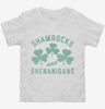 Shamrocks And Shenanigans Toddler Shirt 666x695.jpg?v=1700326217