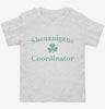 Shenanigans Coordinator Toddler Shirt 666x695.jpg?v=1700326128