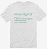 Shenanigator Shirt 666x695.jpg?v=1700326089