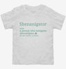 Shenanigator Toddler Shirt 666x695.jpg?v=1700326089
