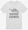 Sistersaurus Sister Dinosaur Shirt 666x695.jpg?v=1700361101