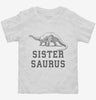 Sistersaurus Sister Dinosaur Toddler Shirt 666x695.jpg?v=1700361101